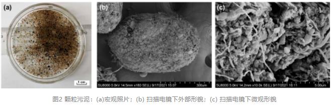 污水處理設(shè)備__全康環(huán)保QKEP